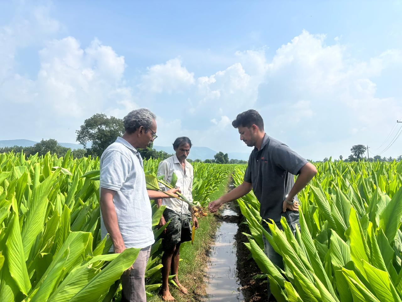 Mr. Devasagayam inspecting a spice crop with a farmer and field professional
